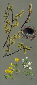 Spring studies