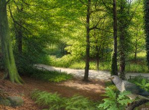 Woodland with Collared Dove by Raymond Booth
