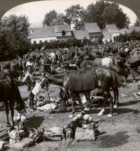 Troops Feeding Their Horses and Resting on the March, World War I