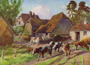 Illustration for My Farm by Reginald Mills