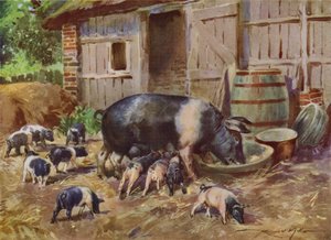 Illustration for My Farm by Reginald Mills
