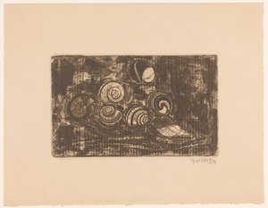 Seven Shells