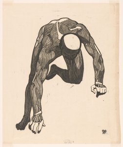Anatomical Study of the Neck, Arm, and Leg Muscles of a Man by Reijer Stolk