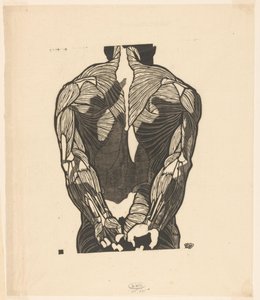 Anatomical Study of the Back Muscles of a Man by Reijer Stolk