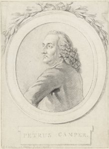 Portrait of Professor Petrus Camper