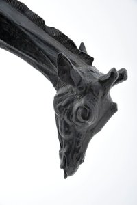 Large Giraffe with Lowered Head