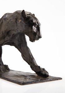 Panther walking, rear leg raised