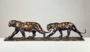 Two Jaguars