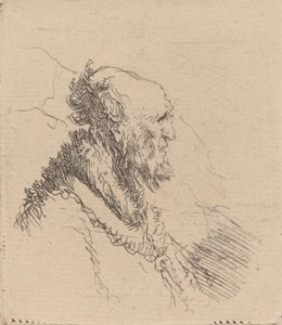 Bald Old Man with a Short Beard in Profile by Rembrandt van Rijn