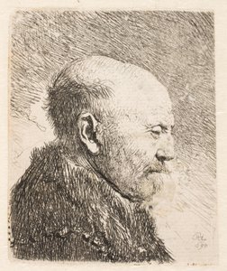 Bald Man in Profile
