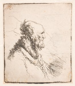 Bald Old Man with a Short Beard, in Profile Right