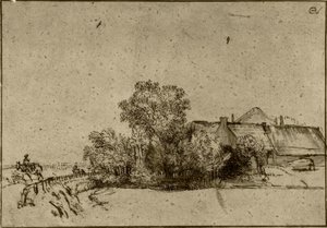 Farmhouse in Amsteldijk