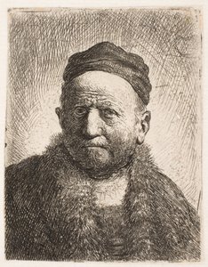 Bust of a Man (Rembrandt