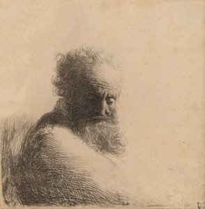 Bust of an Old Bearded Man, Looking Down, Three Quarters Right