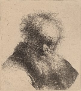 Bust of an Old Man with Flowing Beard and White Sleeve by Rembrandt van Rijn
