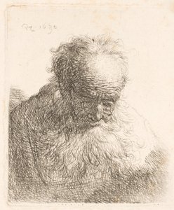 Bust of an Old Man with Flowing Beard by Rembrandt van Rijn