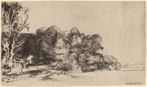 Clump of Trees with a Vista by Rembrandt van Rijn