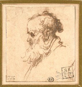 Head of a Bearded Man in Profile to the Left by Rembrandt van Rijn