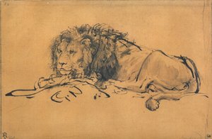 Lion Resting, Turned to the Left, c1650