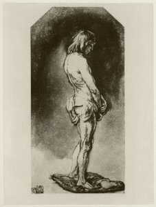 Male Nude by Rembrandt van Rijn