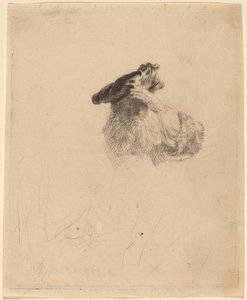 Old Man Shading His Eyes with His Hand by Rembrandt van Rijn