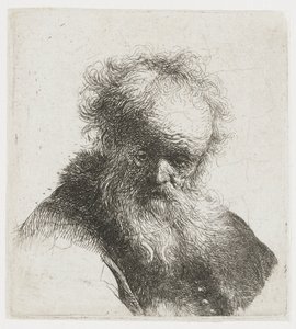 Old Man with Long Beard, with White Sleeve by Rembrandt van Rijn