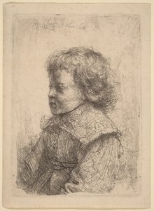 Portrait of a Boy in Profile by Rembrandt van Rijn
