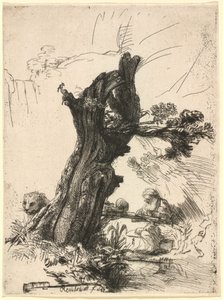 Saint Jerome beside a Pollard Willow by Rembrandt van Rijn