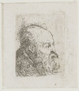 Sheet of Studies of Men