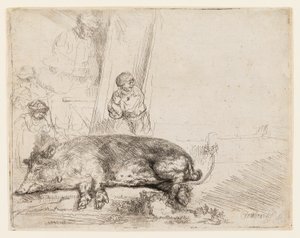 The Hog by Rembrandt van Rijn