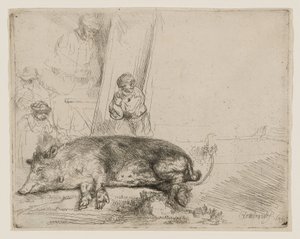 The Hog by Rembrandt van Rijn