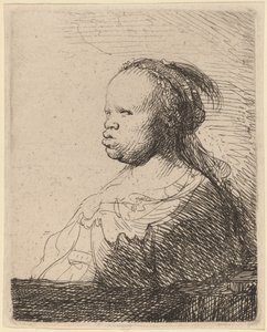 The White Negress by Rembrandt van Rijn