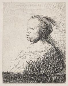 The White Black by Rembrandt van Rijn