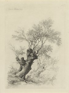 Willow Tree by Remigius Adrianus Haanen
