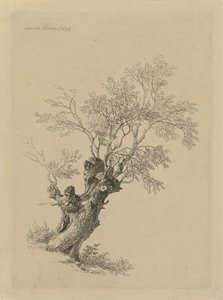 Willow Tree by Remigius Adrianus Haanen