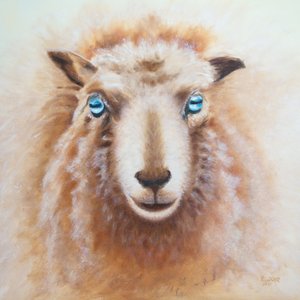 Sheep