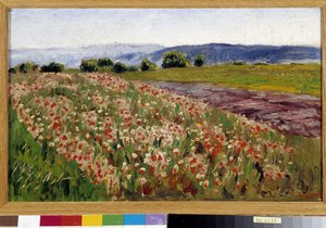 The field of poppies