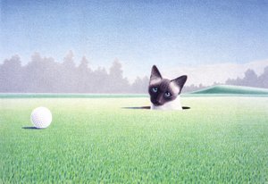 In The Hole