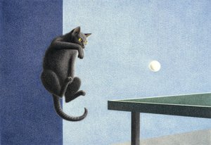 Ping Pong by Rene Boin