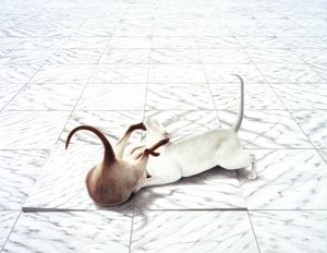 Playing by Rene Boin