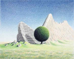 Rock by Rene Boin