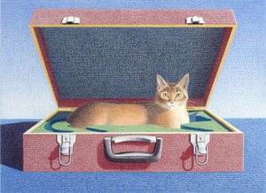 Travelcase 2