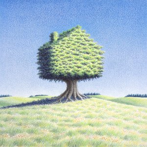 Treehouse by Rene Boin