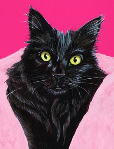 Vibrant Black Cat Portrait