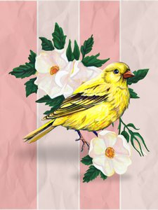 Yellow Bird Wild Roses