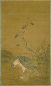 Hawk Capturing A Sparrow