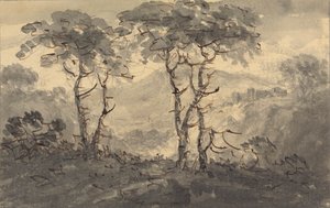 Fir Trees in a Mountain Landscape by Rev. William Gilpin