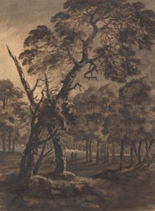 Forest Scene by Rev. William Gilpin
