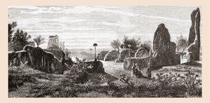Ruins of The Palace of the Caesars, Palatine Hill, Rome, Italy by Reverend Samuel Manning