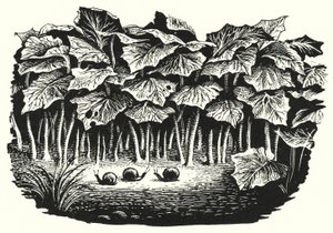 Hans Christian Andersen: The Happy Family